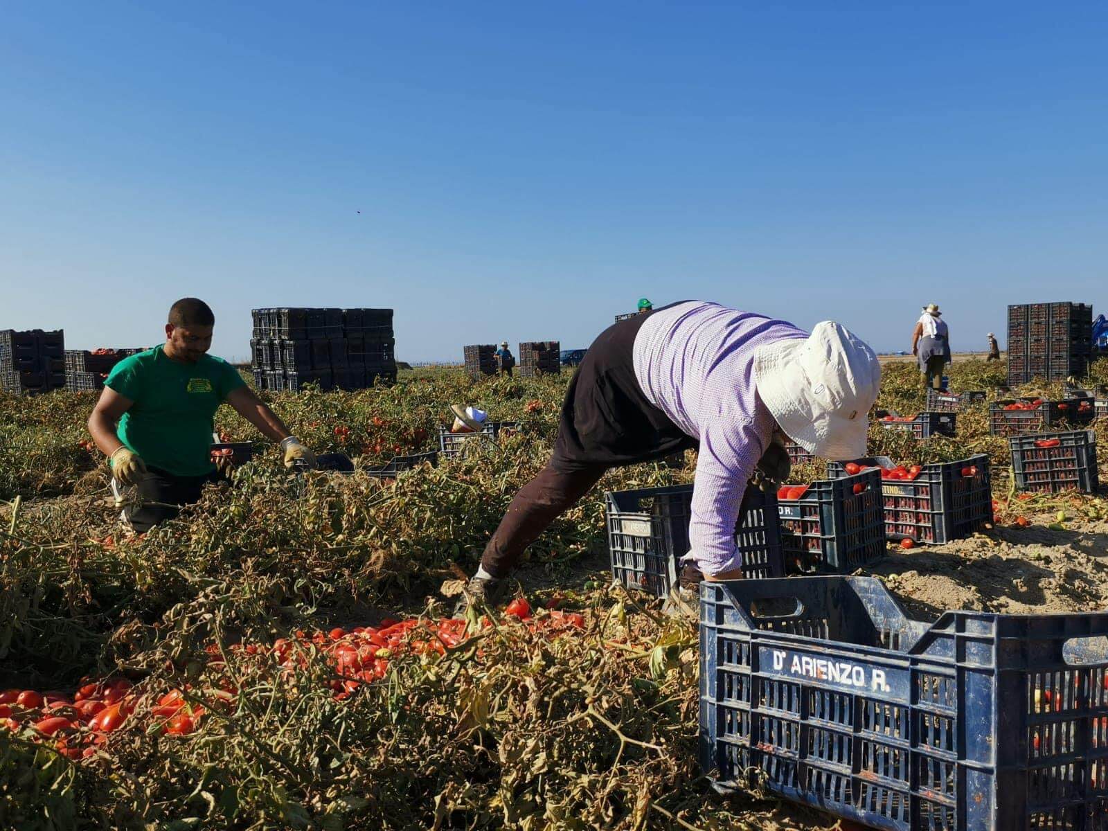 Lotta Al Caporalato E Al Lavoro Grigio Nel Fucino